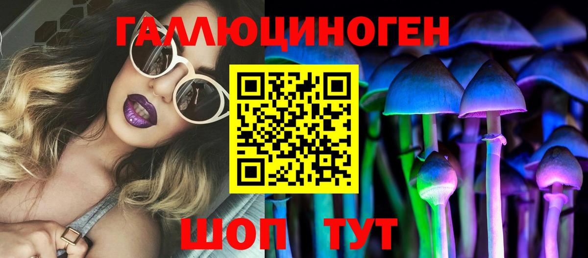 Псков  Псилоцибиновые грибы GOLDEN TEACHER  Вход с VPN 